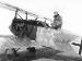 Fokker D.VII (Alb) Jasta 17 Bowke! Hermann Pritsch (Greg Van Wyngarden)